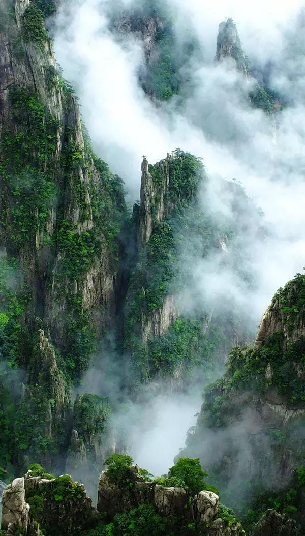 黃山又一次震驚全國！恍如人間仙境，美到極致！